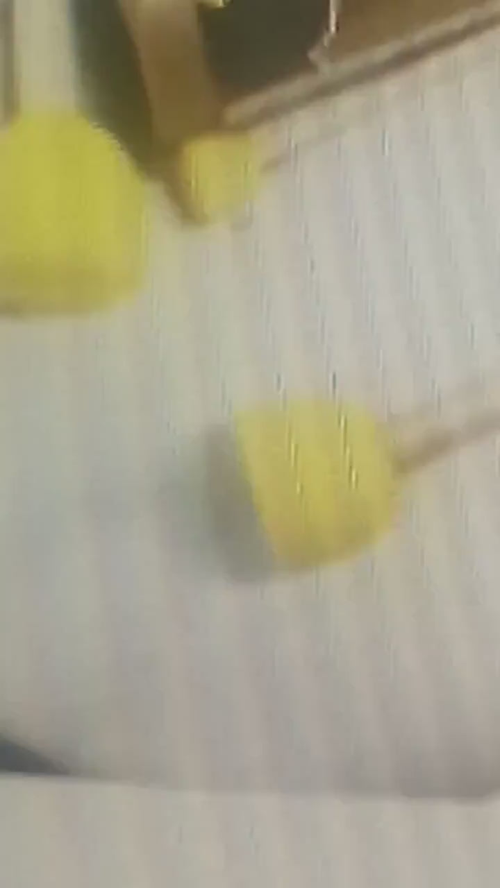 Stippling Sponge Brushes with Wooden Handles for Craft Painting